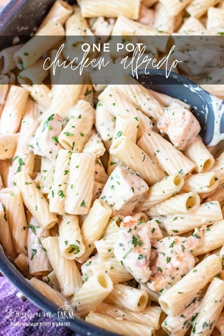 This homemade chicken alfredo is a one-pan wonder. Made from scratch in about 30 minutes from start to finish, this is one dinner that your family is sure to love.