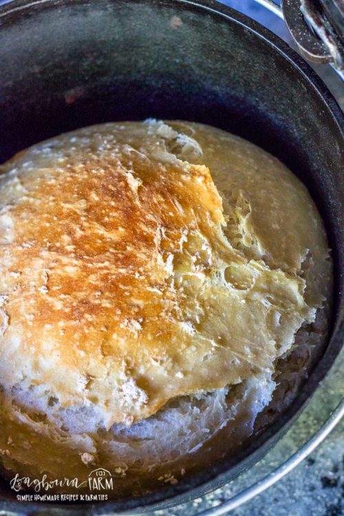 No knead dutch oven bread is so easy to make and turns out perfectly every time, even if you are a beginner. Bake this with coals or in the oven, it's amazing either way! #noknead #breadbaking #dutchoven #castironcooking #castiron #bakingincastiron #dutchovenbread #nokneadbread #dutchovenbreadeasy #dutchovenbreadrecipe