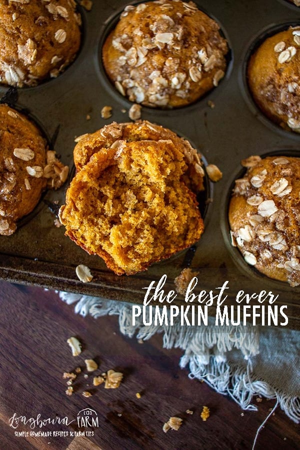 These truly are the best pumpkin muffins ever! Soft and fluffy without being heavy and greasy. They are a total breeze to make!
