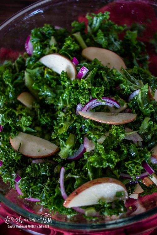 Close-up of kale apple salad.