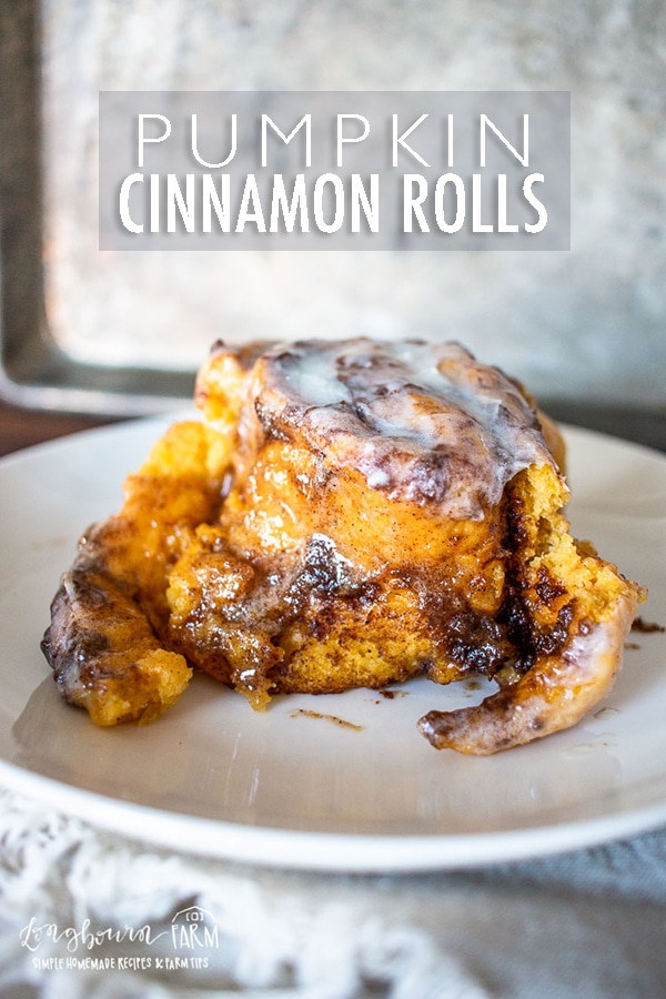Pumpkin Cinnamon Rolls are a delectable fall treat that is well worth your time! This recipe only takes an hour and has minimal hands-on time. #pumpkinrecipes #pumpkin #fallbaking #fallrecipe #pumpkincinnamonrolls #cinnamonrollsrecipe #pumpkincinnamonrollseasy #quickcinnamonrolls #easycinnamonrolls
