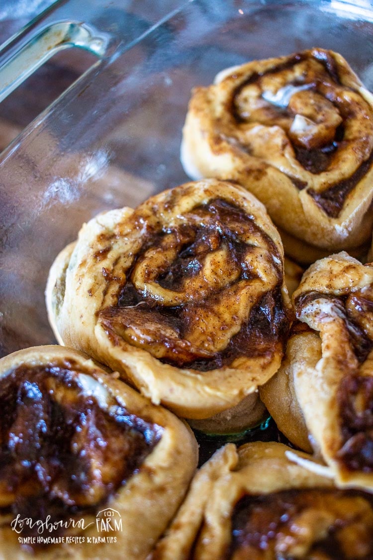a close-up of the unbaked pumpkin cinnamon rolls