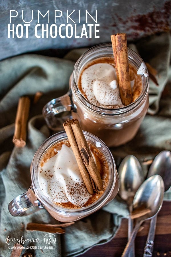 Pumpkin hot chocolate is so easy to make from scratch and the perfect warm drink on a cold day. Try out this easy recipe today!! #pumpkinrecipe #pumpkinspice #pumpkinhotchocolate #hotchocolate #easyhotchocolate #homemadehotchocolate #homemadecocoa #hotchocolatemix #pumpkincocoa #pumpkinchocolate