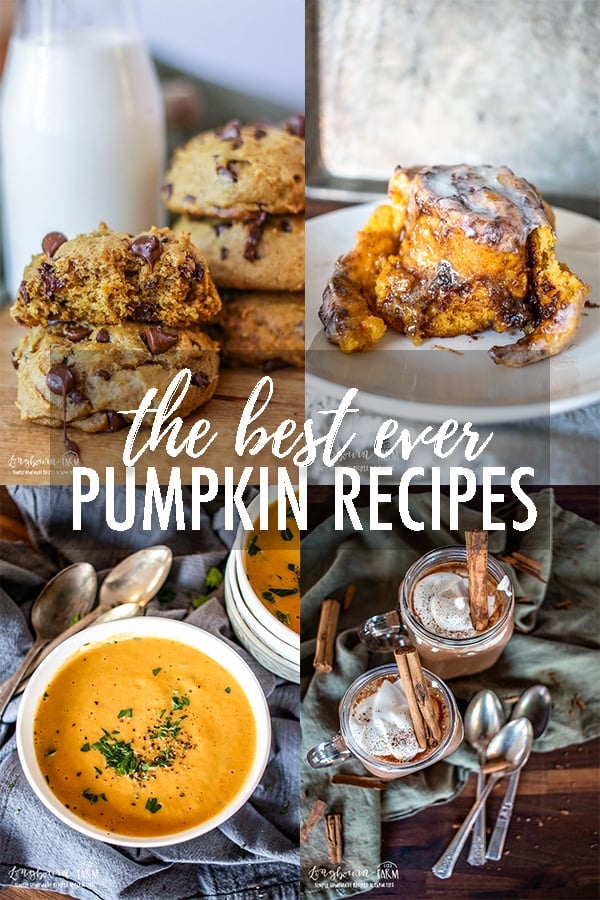 When it comes to Fall, pumpkin recipes are all I want! These are some of the best pumpkin recipes ever. Savory and sweet, and even a dog treat! #pumpkinrecipe #pumpkin #pumpkinrecipes #pumpkinsoup #pumpkintreats #pumpkinbaking #fallbaking #bakingfun #bakingday #bakingtime #pumpkinseason