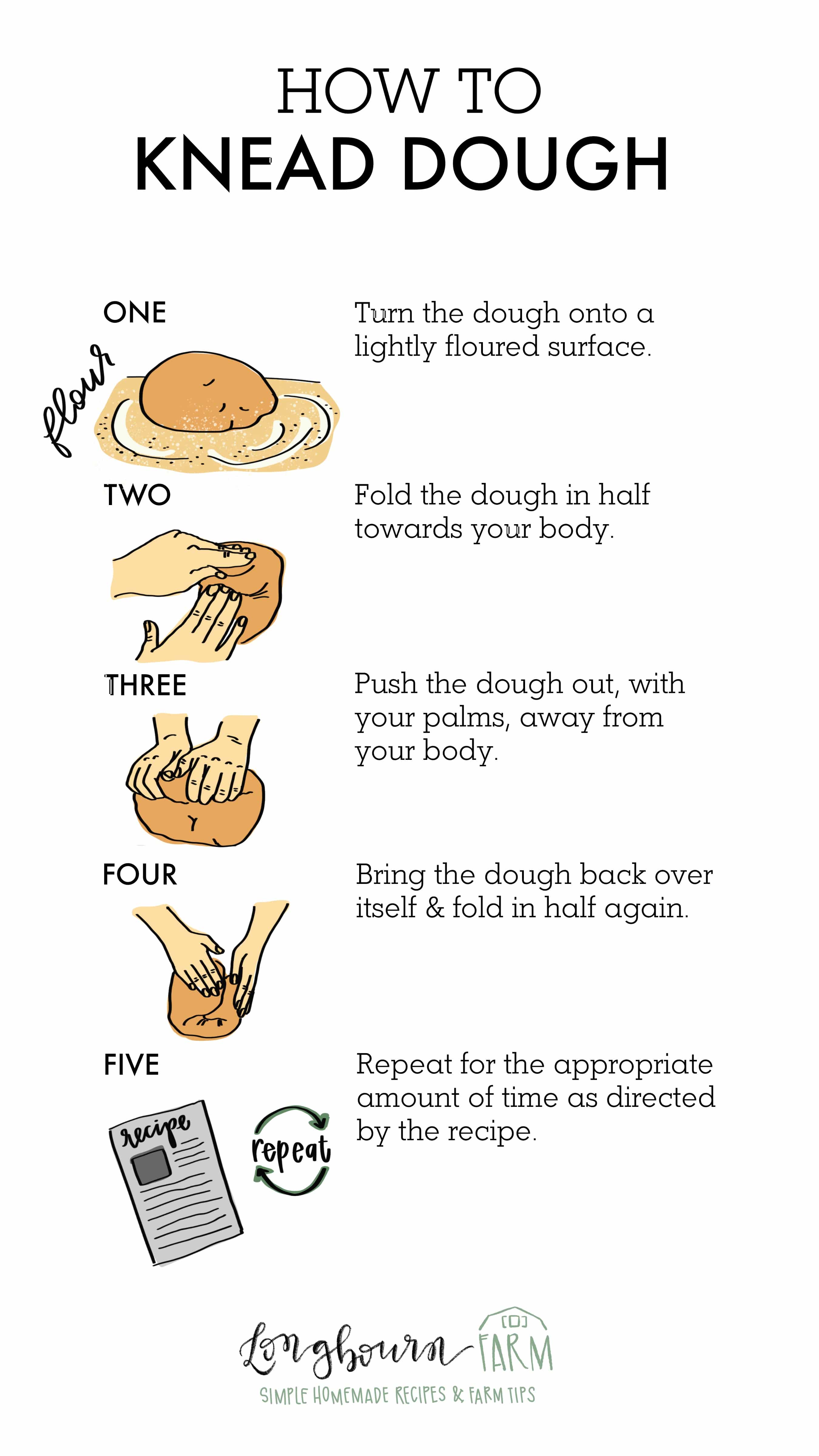 Kneading dough is easy if you know the right technique! Learn all the basics you need to get a fresh loaf on your table with ease. #dough #kneaddough #howtokneaddough #bread #bakingbread #howtobakebread #howtomakebread #kneadingdough #kneadbreaddough #wheatbread #whitebread #dinnerrolls
