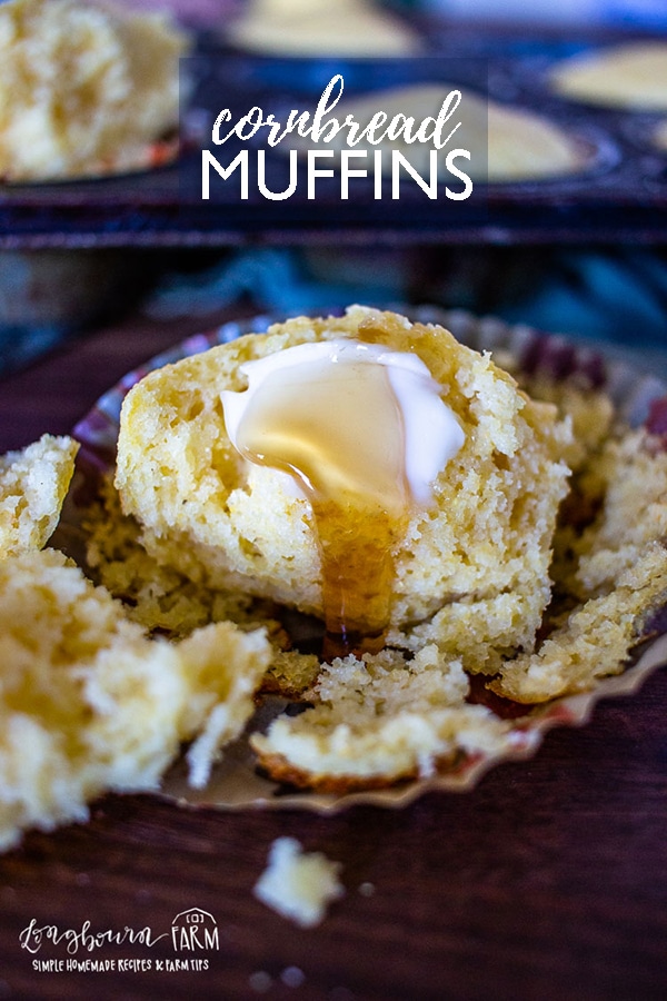 This cornbread muffin recipe is soft, pillowy, and delicious! Make it for a quick weeknight dinner or save it for a holiday side dish. #cornbreadmuffins #cornbreadmuffinseasy #cornbreadmuffinssweet #cornbreadmuffinsmoist #cornbreadmuffinshoney #cornbreadmuffinsbest #cornbreadmuffinshomemade #cornbreadmuffinsfromscratch