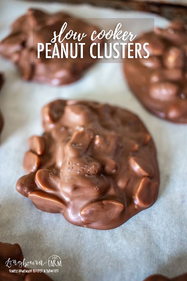Chocolate peanut clusters are easy to make in the slow cooker and perfect for holiday treats! Great for parties, neighbor gifts or just snacking! #peanutclusters #chocolatepeanutclusters #peanutclusterrecipe #easypeanutclusters #easychocolatepeanutclusters #slowcookerpeanutclusters #slowcookerpeanutclusterrecipe #easyslowcookerpeanutclusters