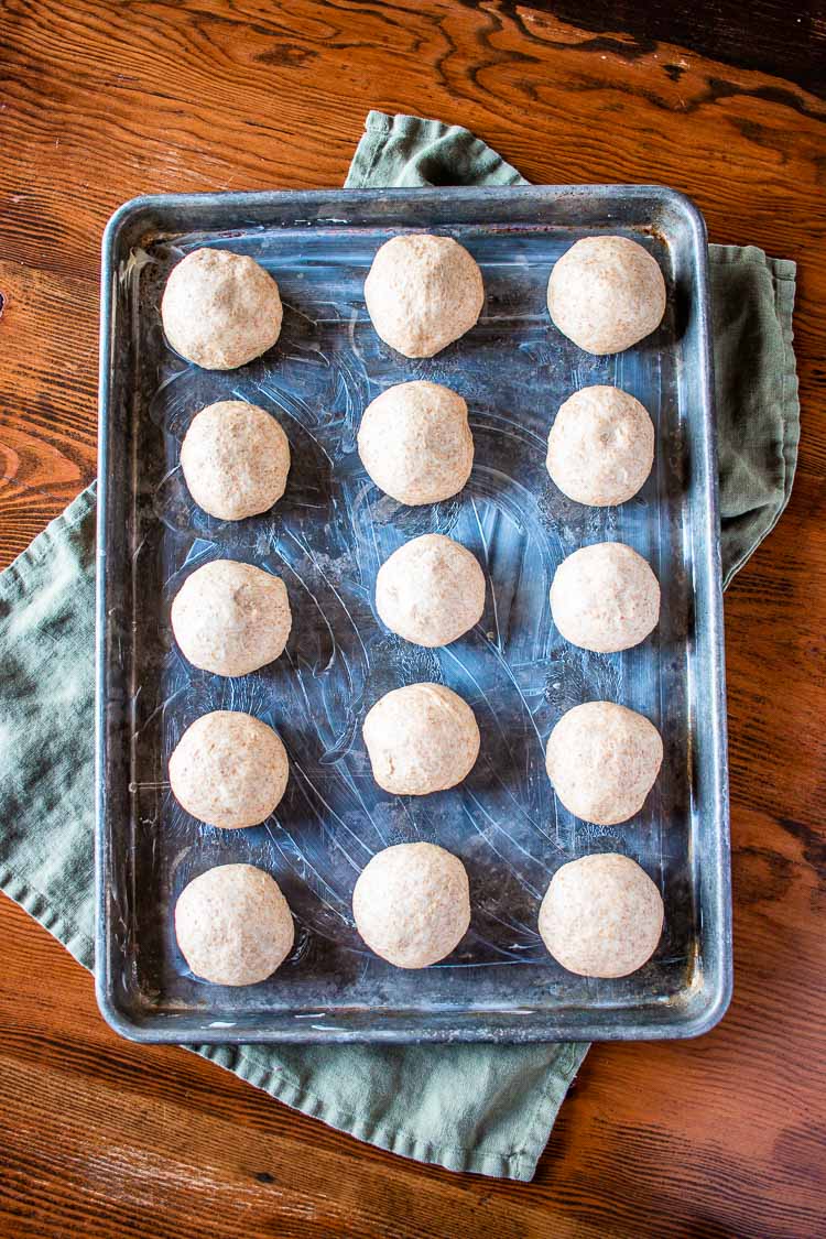 honey wheat dough rolls assembled in rows on a greased baking sheet