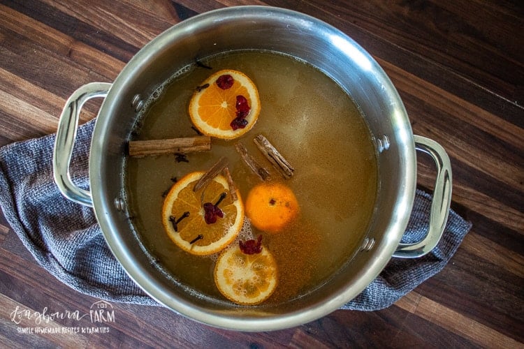 a stainless steel pot full of wassail ingredients