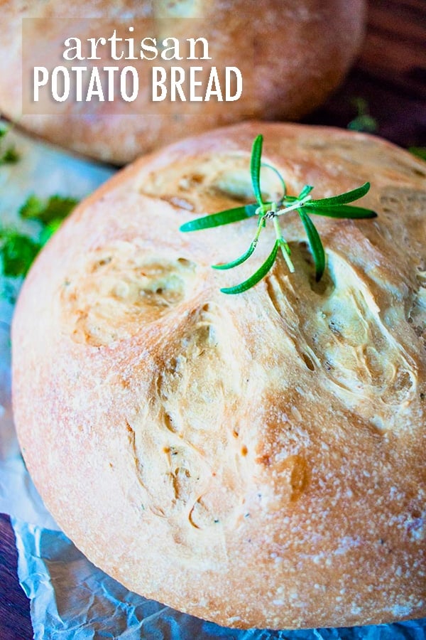 Artisan-style herb potato bread is a great way to amp up any meal. With simple ingredients, it's easy to make artisan bread at home. #potatobread #potatobreadrecipe #potatobreadeasy #potatobreadhomemade #potatobreadmashed #potatobreadrecipe #potatobreadrolls #potatobreadherb