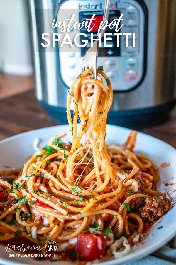 Get ready for a fast a delicious instant pot spaghetti recipe!! So delicious, packed with flavor and super easy to prepare. #pasta #instantpot #spaghetti #instantpotpasta #instantpotspaghetti #italianfood #pastarecipe #spaghettirecipe