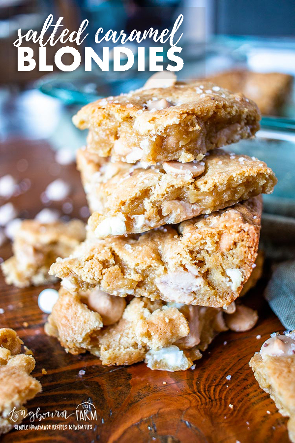 Salted caramel blondies are bursting with flavor and the perfect treat for any occasion. These blondies are easy to make and will impress anyone! #blondies #saltedcaramel #caramel #salted #caramelblondies #saltedbrownies #brownies