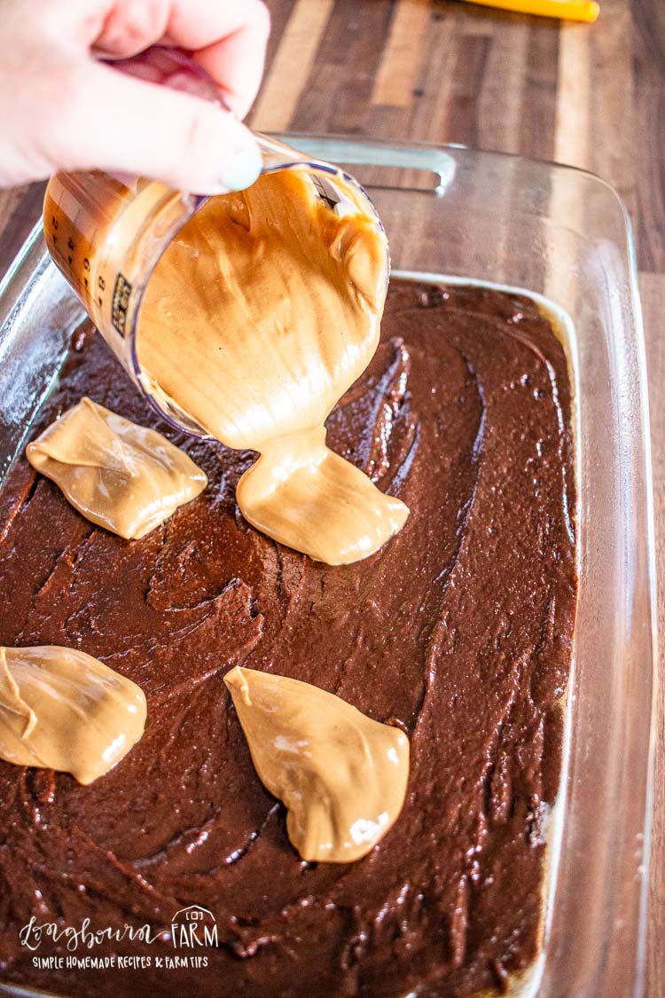 topping the brownie batter with dallops of peanut butter