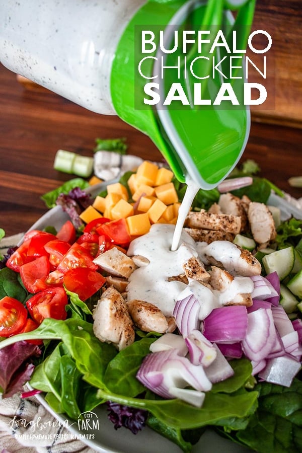 Buffalo chicken salad is a delicious meal that's healthy and filling! With a homemade buffalo ranch dressing, this recipe is amazingly tasty! #buffalochicken #buffalochickensalad #saladrecipe #chickensalad #chickensaladrecipe #buffalochickenrecipe #howtomakesalad #buffaloranch #buffaloranchdressing #howtomakeranch