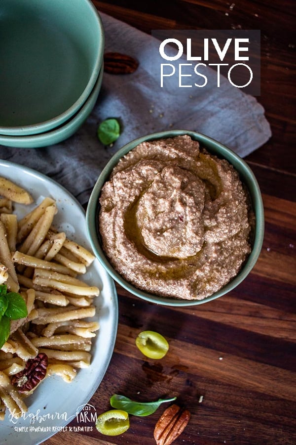 Olive pesto has an amazing flavor and is a delicious pairing for any pasta recipe! Whip it up in just minutes and store excess in the freezer for later! #olivepesto #pesto #pestorecipe #homemadepesto #homemadepestorecipe #pestofromscratch #pasta #pastarecipe