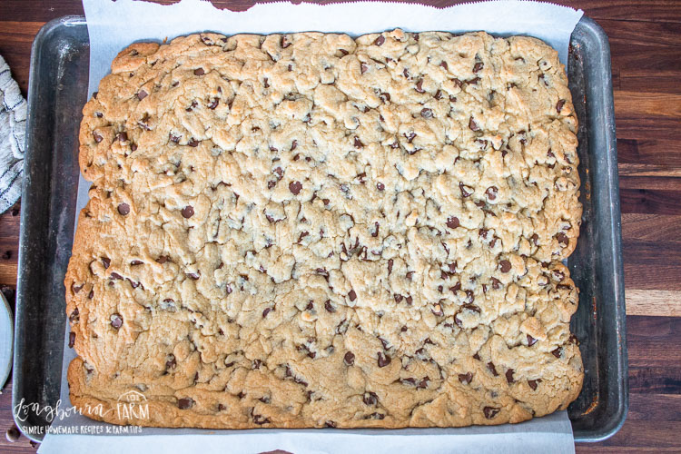 a freshly baked golden brown chocolate chip cookie bar