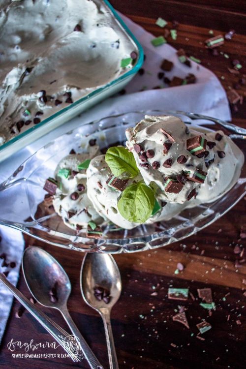 a glass bowl full of mint chocolate ice cream topped with chopped mints and chocolate chips