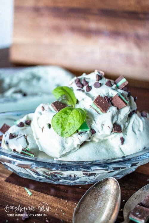 a glass bowl full of mint chocolate ice cream topped with chopped mints and chocolate chips
