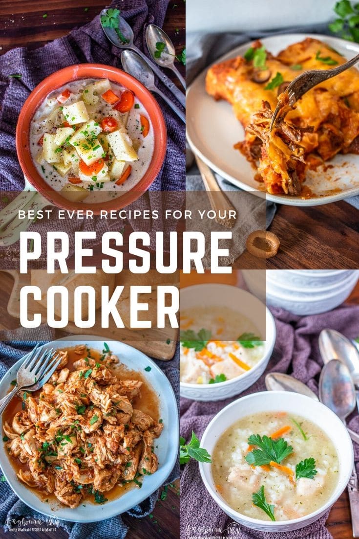 Pressure cooker recipes are easy, quick, and delicious! They cut down on cook time and avoid heating the oven. Family favorites in just minutes.