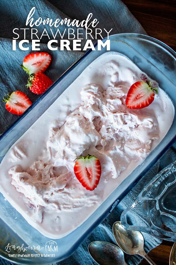 A creamy eggless strawberry ice cream with chunks of fresh strawberries in every bite. You’re going to love this no cook strawberry ice cream recipe!