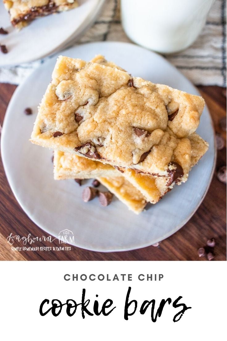 Chocolate chip cookie bars are an easy way to get that great chocolate chip cookie taste in and easier to make form! Whip them up in no time at all.