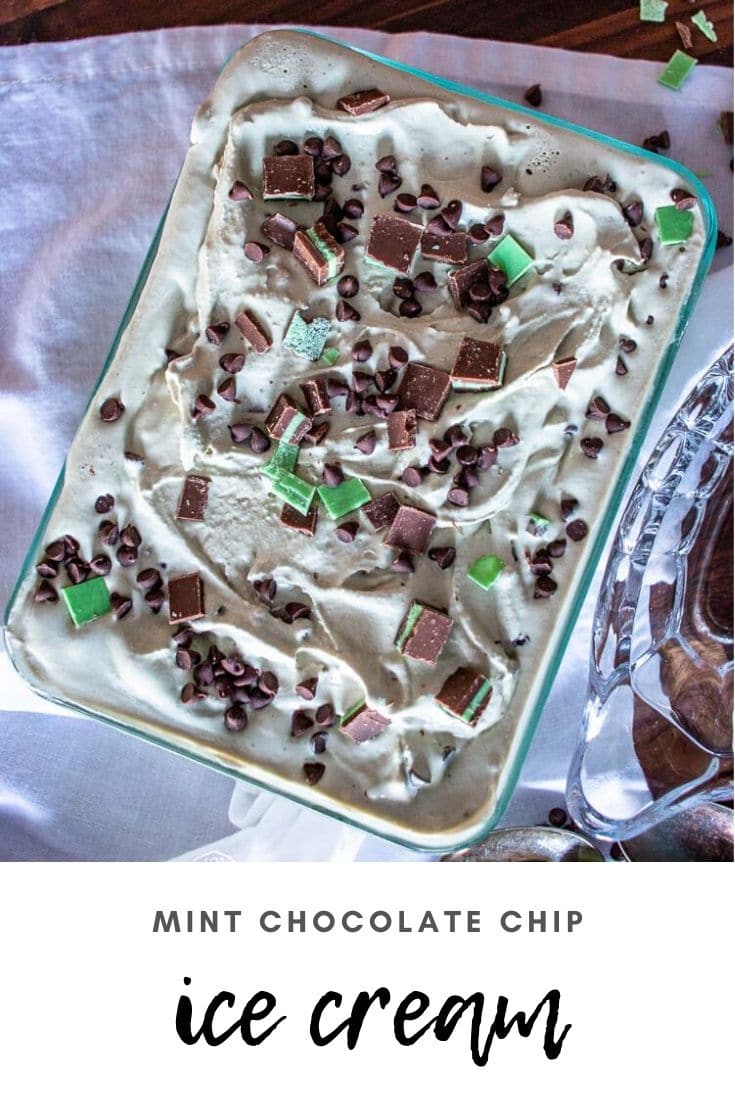 Mint chocolate chip ice cream is a cool and tasty treat for any time of year! It's easy to make yourself and everyone will love it.