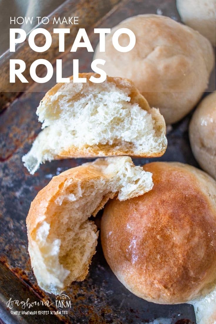 Potato rolls are easy to make and turn out perfectly every single time! Whip up a batch and freeze some for later. These are sure to be a hit!