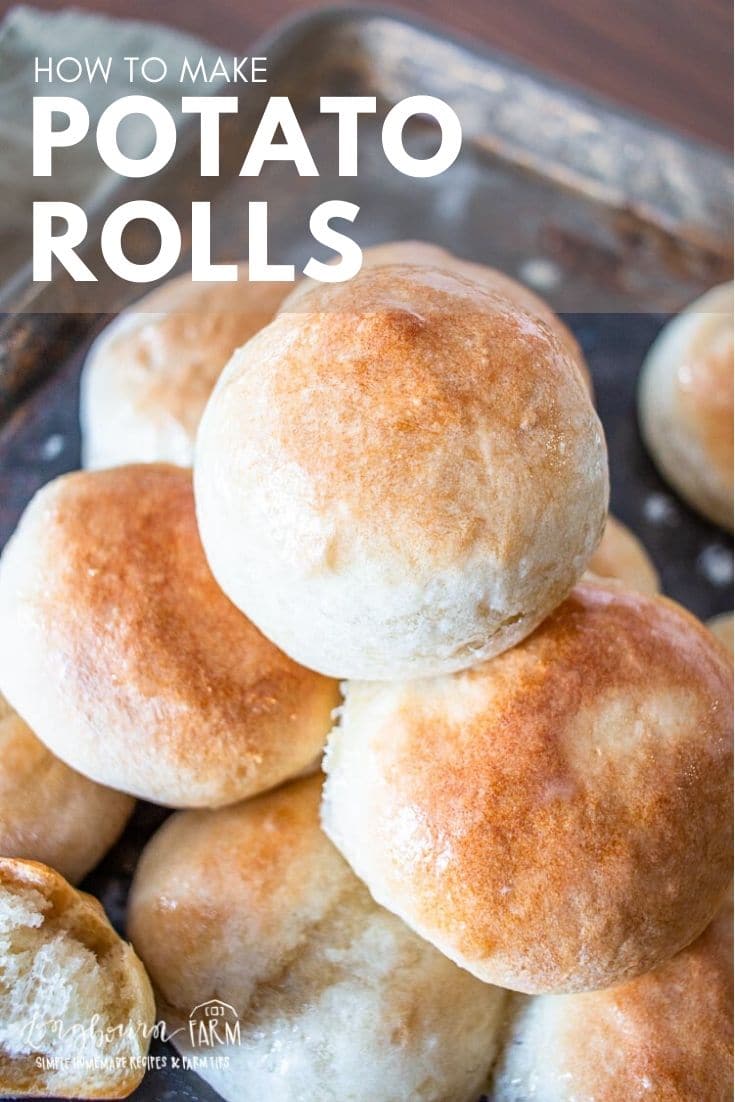 Potato rolls are easy to make and turn out perfectly every single time! Whip up a batch and freeze some for later. These are sure to be a hit!