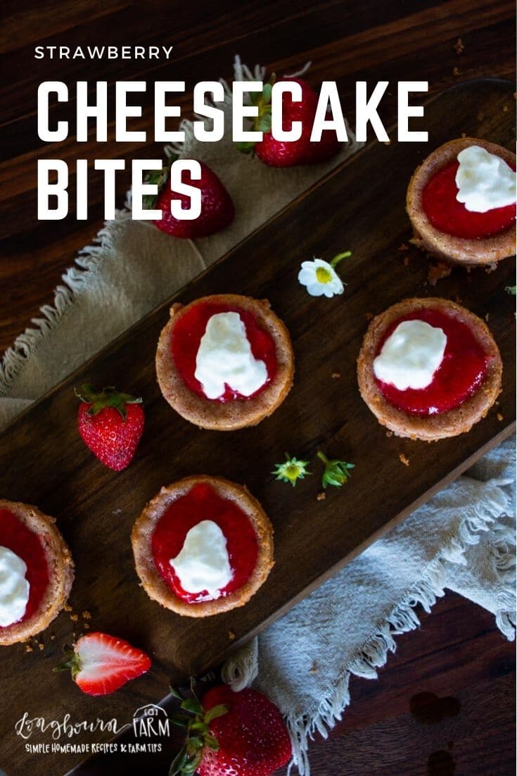 Smooth, creamy strawberry cheesecake bites are a delicious individual sized dessert for any occasion. Made with fresh strawberries and homemade crust!