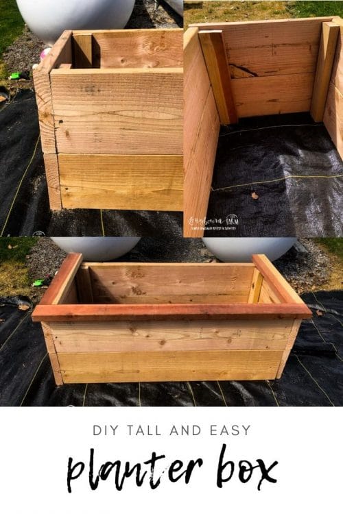 Building a DIY Tall Planter Box is really easy and much cheaper than buying one. With a few supplies, you can get it done a few hours. 