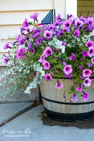 How to Plant Flowers in Large Planters