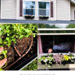 Window boxes are so lovely and a great way to add curb appeal to your home! But how do you water them? With a DIY Self-watering window box drip system!