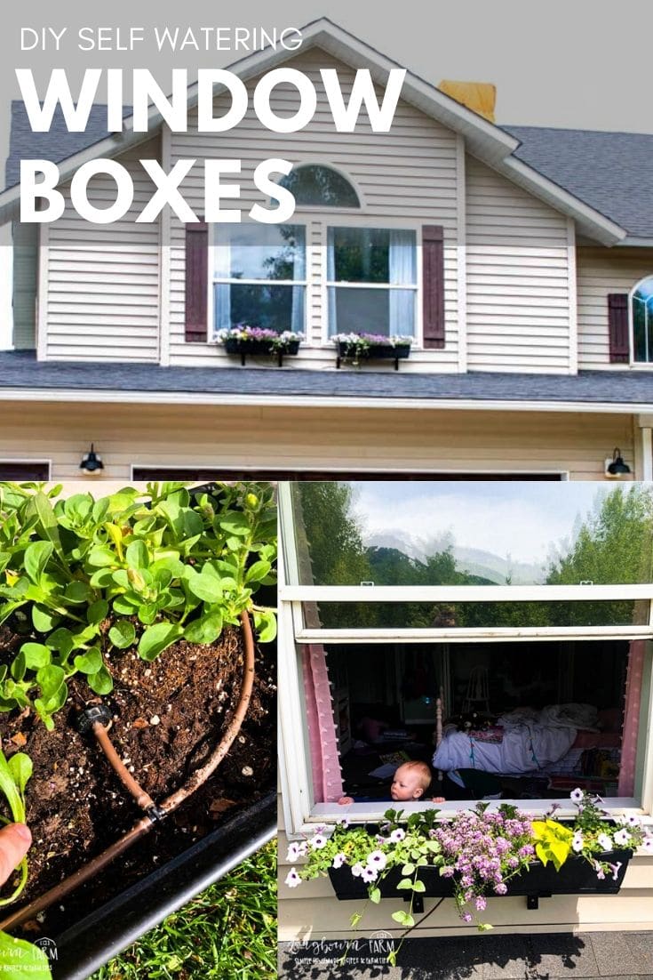 Window boxes are so lovely and a great way to add curb appeal to your home! But how do you water them? With a DIY Self-watering window box drip system!