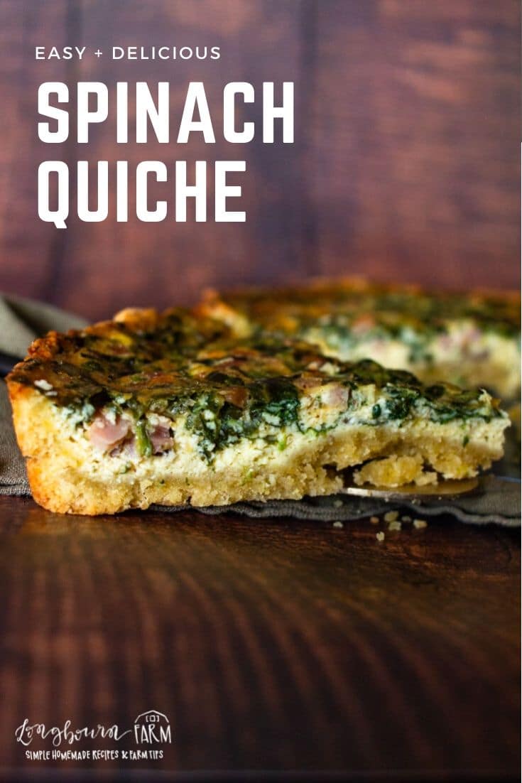 Spinach quiche is a delicious breakfast recipe that isn't as complicated as it sounds! Delicious ingredients in a flakey crust, perfect!