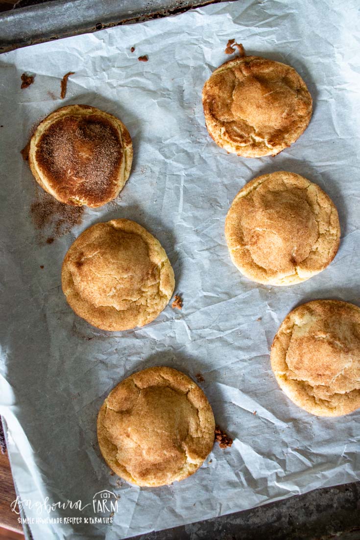 caramel stuffed snickerdoodles on a parchment lined baking sheet