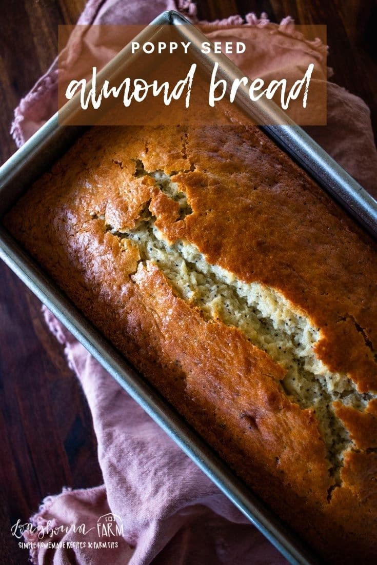 Almond poppy seed bread is a quick bread recipe that you’re going to love! With moist and soft crumb packed with flavorful poppy seeds, yum!