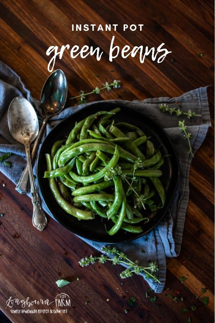 Instant Pot green beans are a super simple and easy way to make a delicious vegetable side dish for dinner.