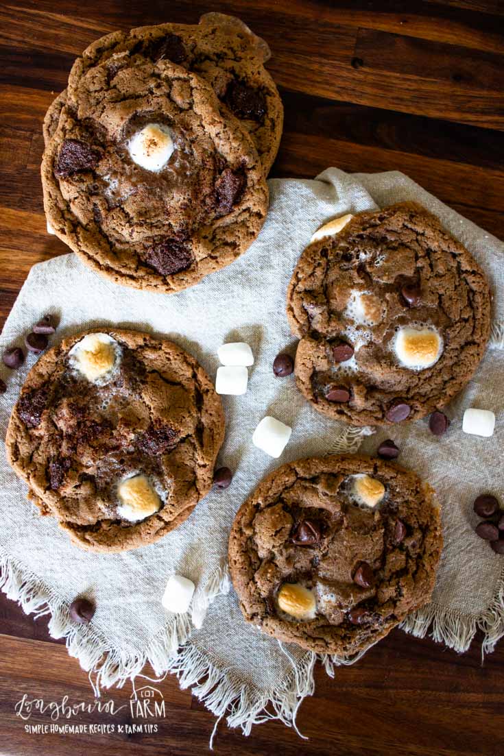mexican hot chocolate cookies with marshmallows and chocolate chips on a piece of cloth