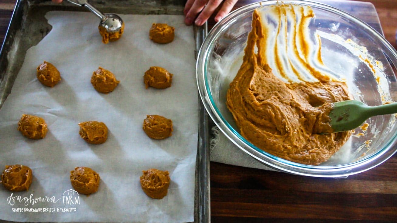 scooping out the pumpkin cookie dough on parchment lined baking sheet