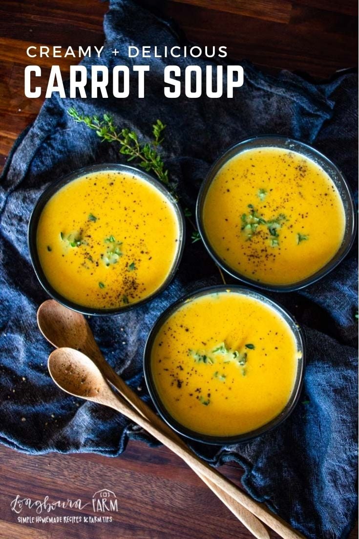 Instant Pot Carrot Soup is a delicious and creamy dinner that is easy to make and packed with flavor and veggies!