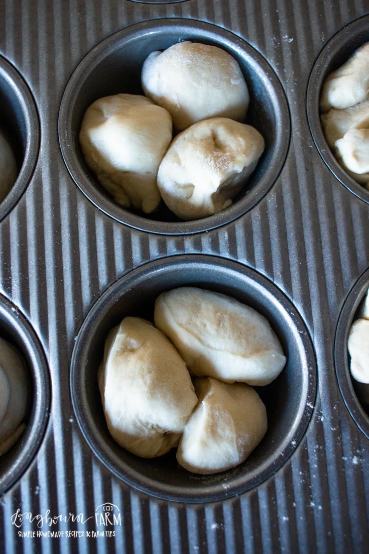 three bread roll dough pieces in muffin tray cups