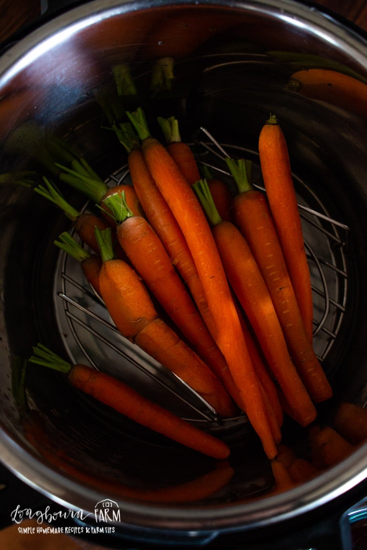 peeled long carrots in an instant pot