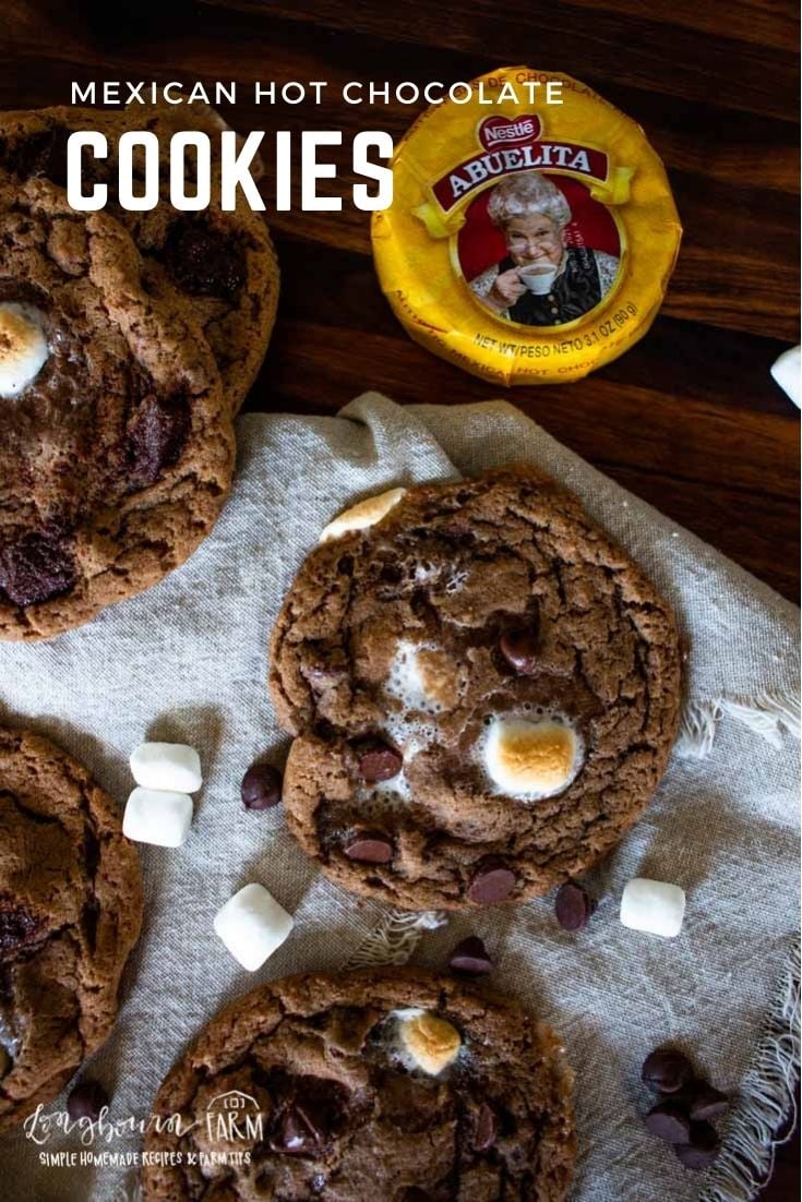 With soft and chewy hot chocolate cookies, you can enjoy a flavorful cookie that’s bursting with toasted melted marshmallows. Yum!
