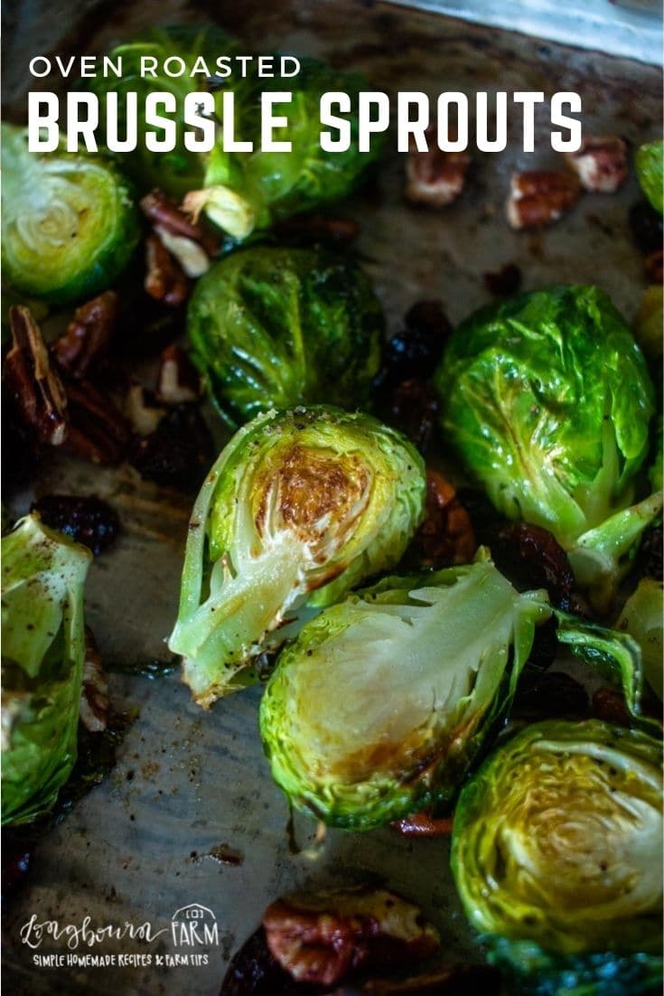 Oven-roasted brussel sprouts are an easy way to make a sweetened, caramelized and crunchy green vegetable come to life.