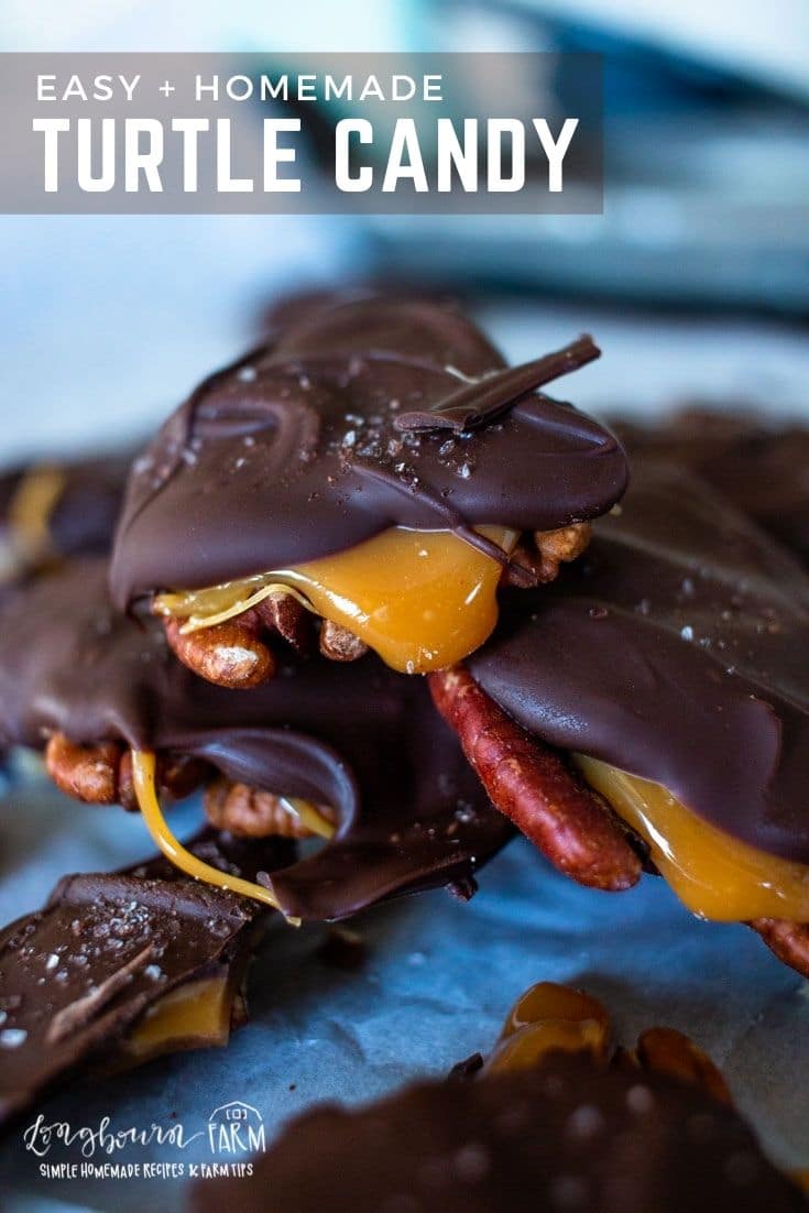Making your own homemade turtle candy is a great pastime that is perfect year-round. Caramel, chocolate, with a little crunch! Nothings better.