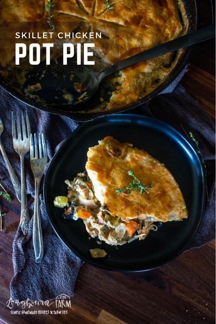 Skillet chicken pot pie is a comfort meal in a pan! Made all in one pan and finished in the oven, it's a delicious mess-free dish.