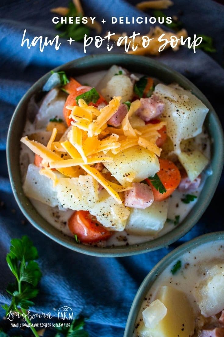 Cheesy ham and potato soup is delicious, warm, comforting, and full of flavor. It's easy to make in the slow cooker!