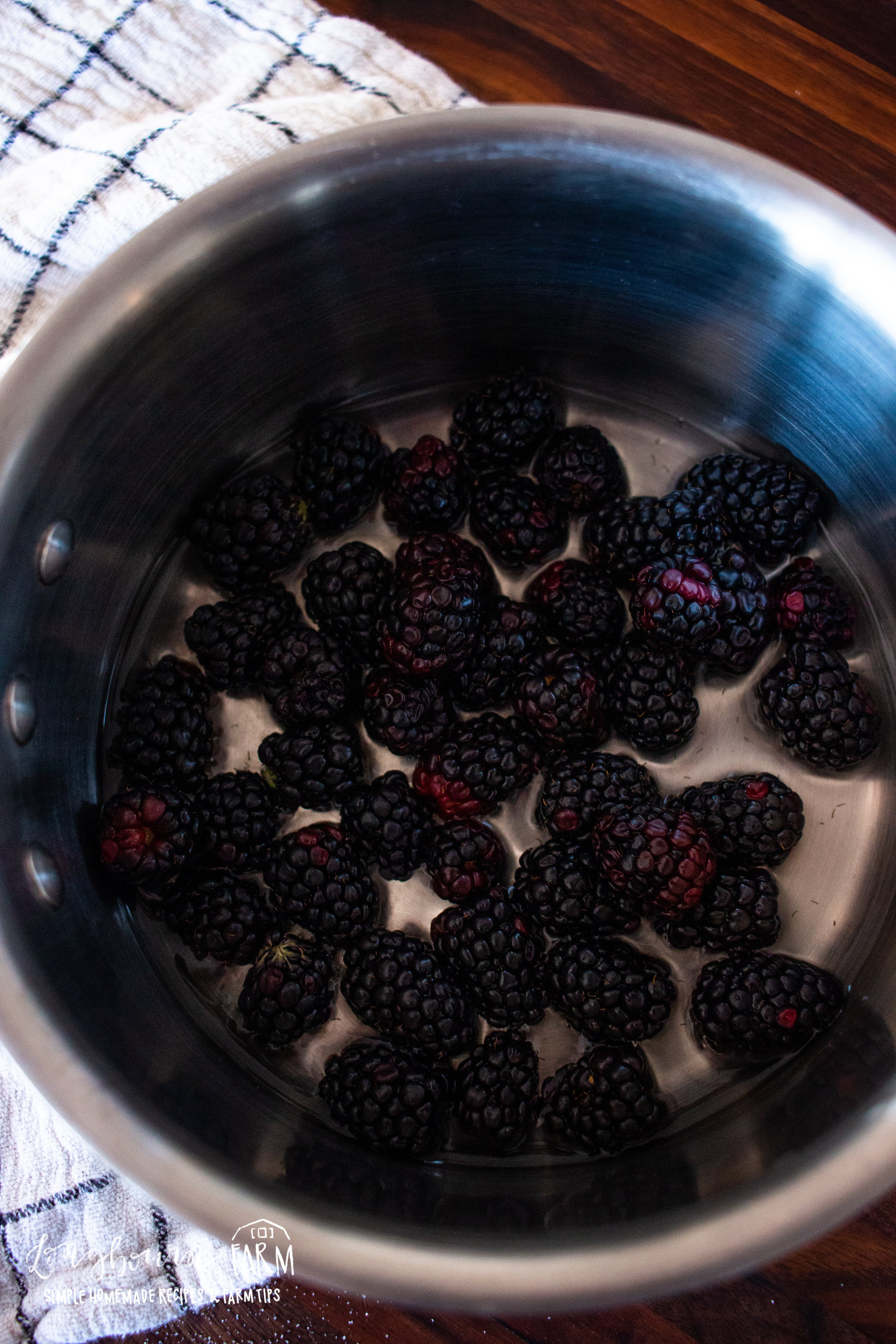 blackberries in a pot