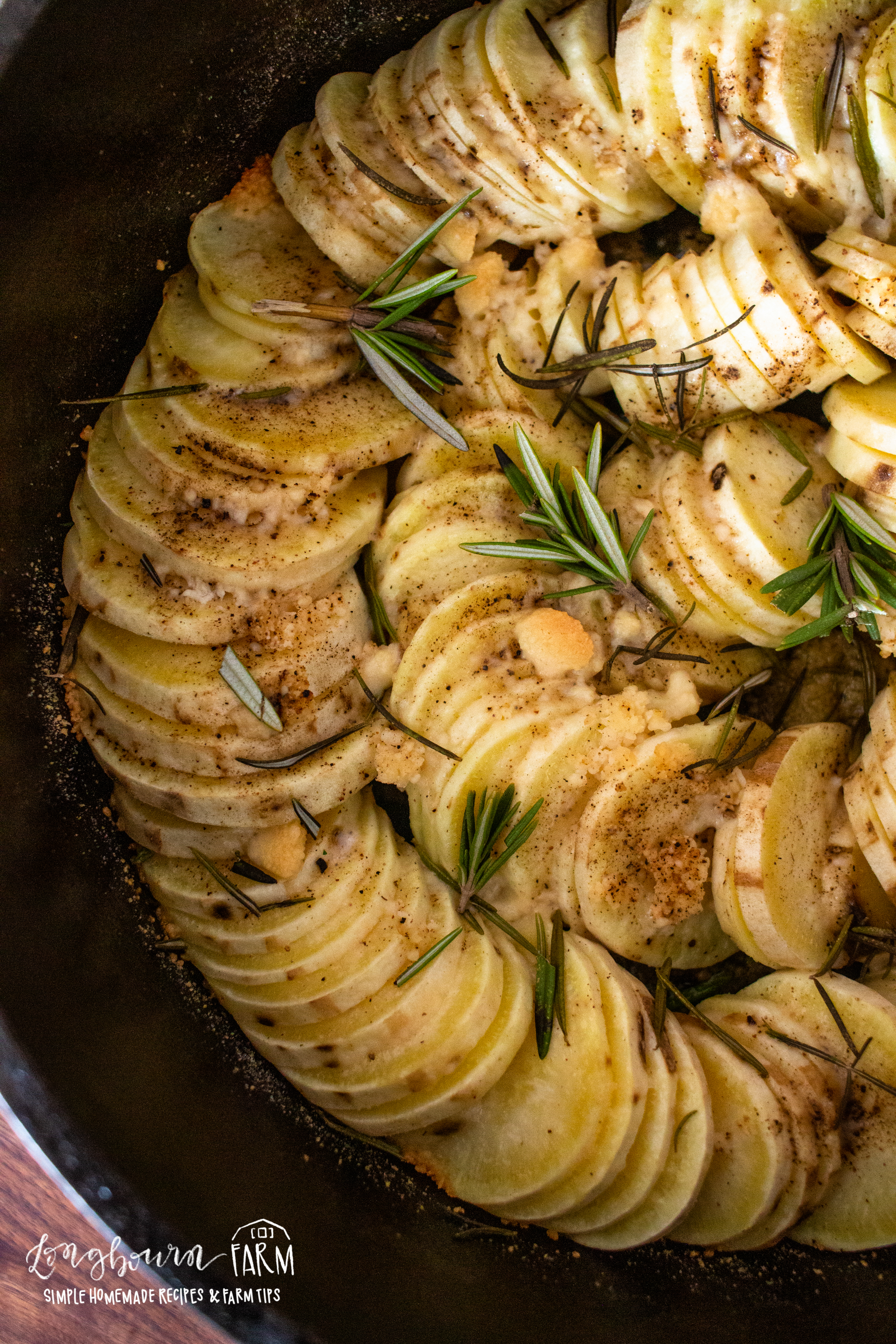 neatly arranged sliced potatoes baked and seasoned with fresh herbs and spices in a dutch oven