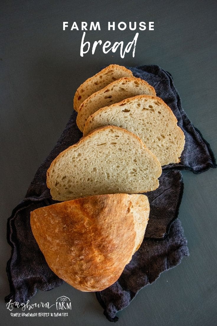 Farm style bread is an easy, simple, and delicious bread recipe that you'll be able to make over and over. No equipment and no kneading!